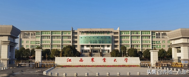 幸宇云，江西农业大学动科院博士、硕导、副院长，动物育种专家