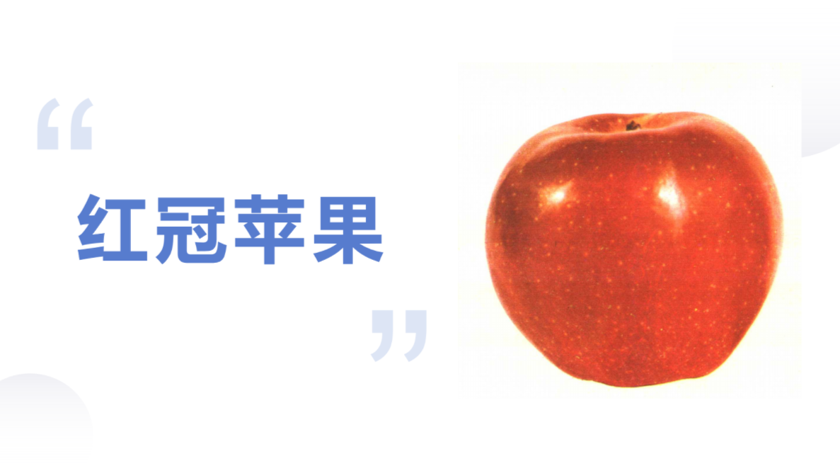 37个知名苹果品种，有的已被淘汰，有的老而弥坚，你认识几个？