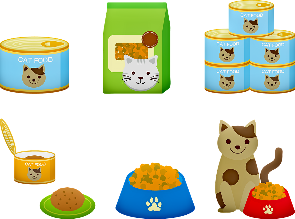 2021进口猫粮排行榜：权威选购指南与热门品牌推荐