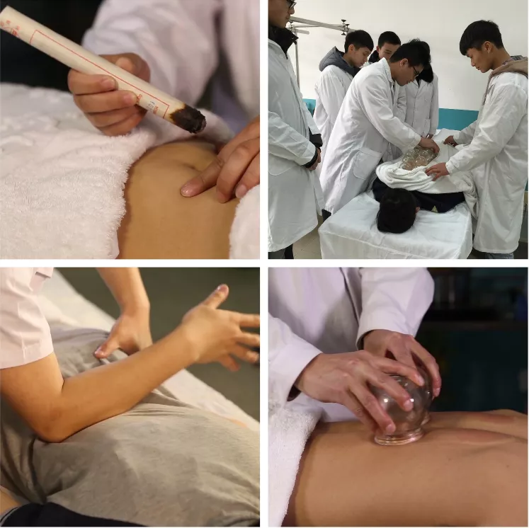 对话成都中医药大学附属医院针灸学校·四川省针灸学校