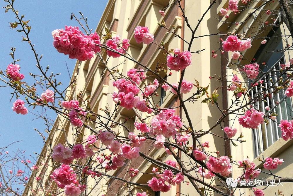 在昆一中金岸中学高2017届高考动员大会上的讲话