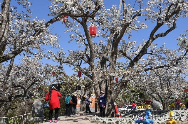 兰州10大约会、接吻圣地大揭秘