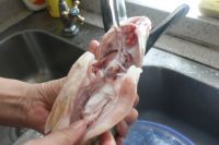 清蒸桂鱼怎么做？清蒸桂鱼的做法