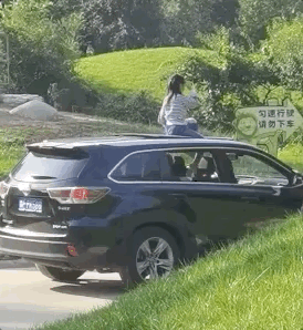 动物园老虎咬人,北京野生动物园老虎咬人