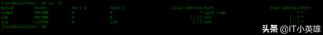 Linux 中 ss 命令的使用實例