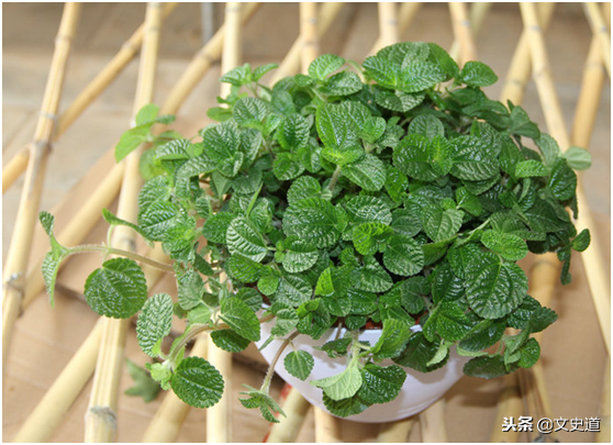 绿色环保施工方案便宜91