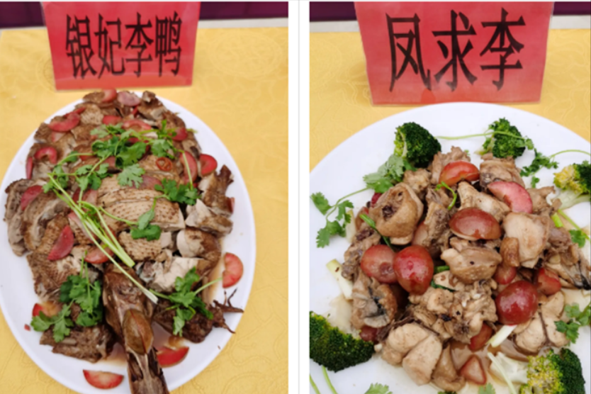 美国黑布林口碑跌至冰点，原产于我国的9个李子，你识得几个？