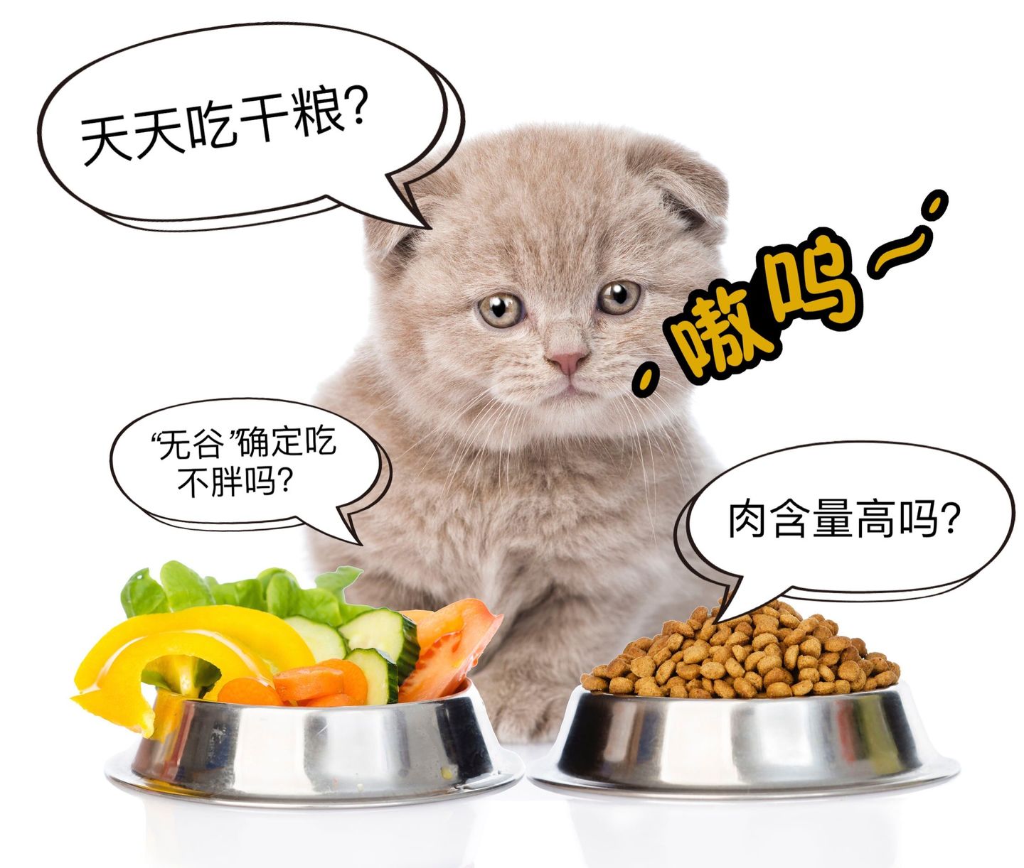 2021进口猫粮选购指南和品牌推荐