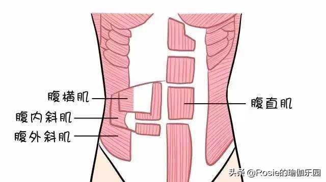 肋骨外翻是如何引起的？产后妈妈是不是更容易出现肋骨外翻？