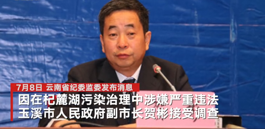 玉溪交通违章查询,玉溪交通违章查询系统