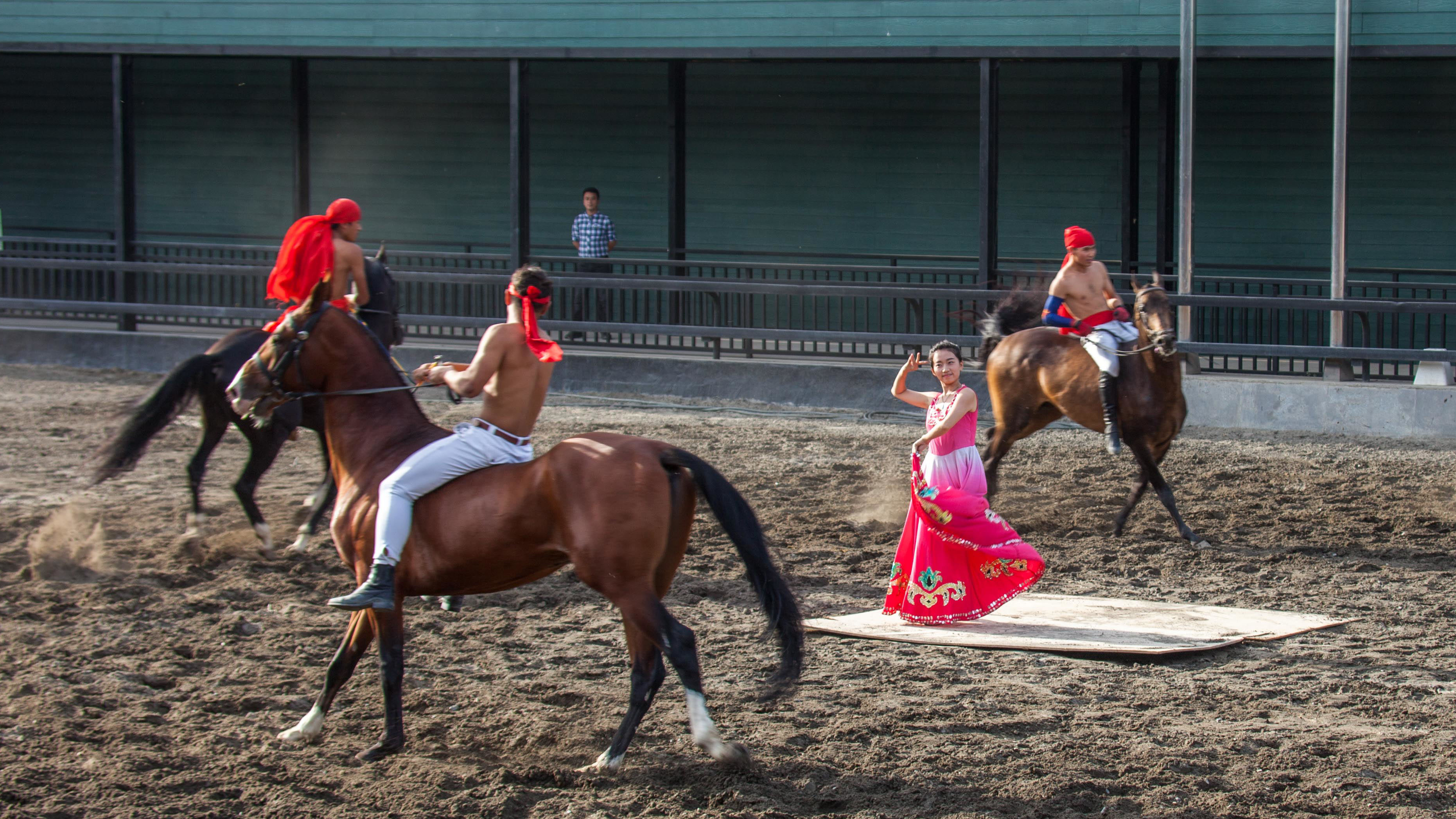 什么是汗血寶馬,