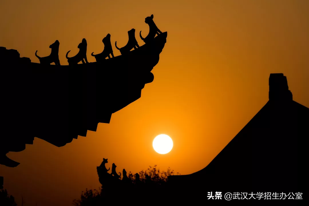 超50万人报考！来武汉大学，2025年，你将拥有“无价之物”！