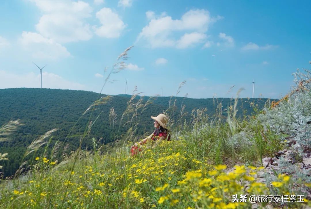 承德坝上，想和你潜入森林漫步草原，看日出日落，雨疏星骤