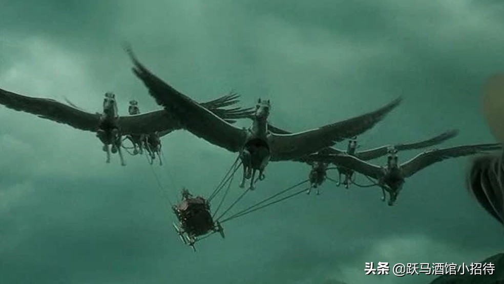 给麻瓜的《神奇动物百科》，魔法世界的动物到底有多神奇（长文）