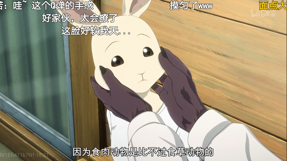 《动物狂想曲》:这是一部车速飞快,cp大乱炖的小甜番