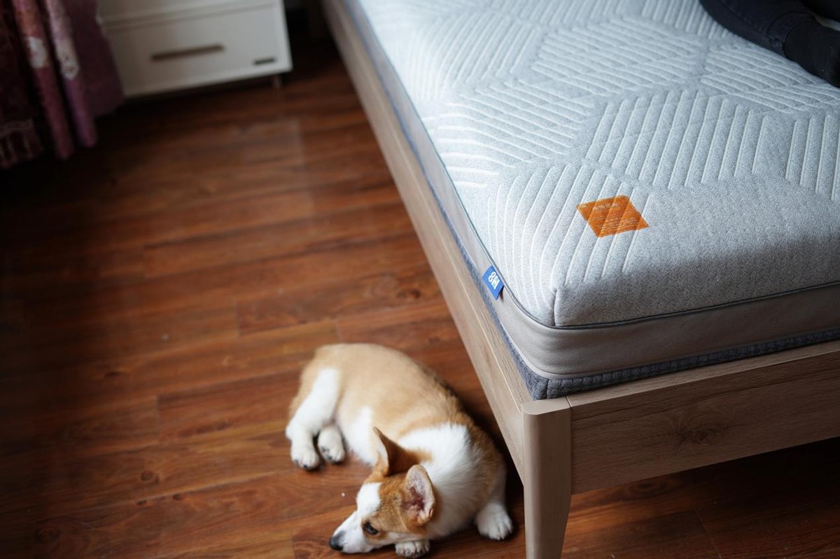 米粉亲自来验货 售价两千多的8H 金刚护脊乳胶床垫到底值不值