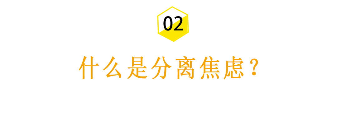 失恋以后我放不下该怎么办？