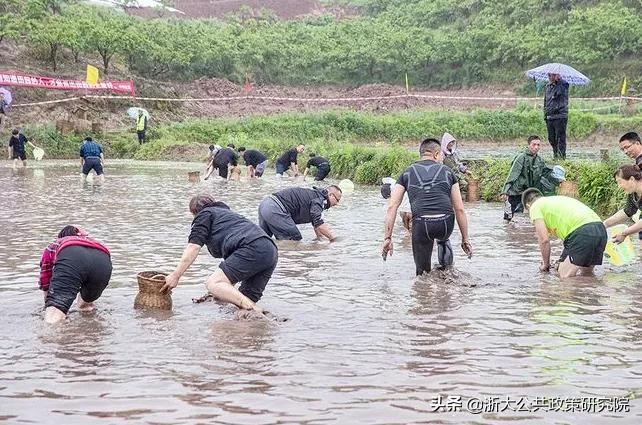 摸鱼的梗出自哪里（详解1个网络流行梗的出处）