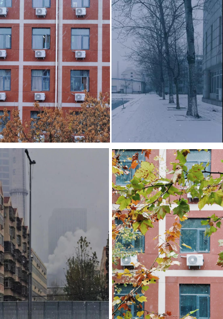 超心动！直击天津魅力高校，四季坐拥神仙颜值！网友：别人家的学校！