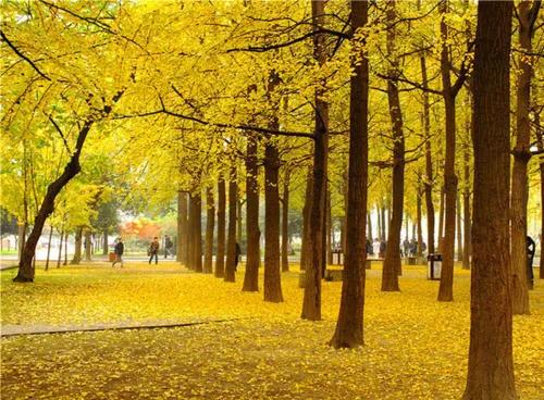 河北有什么好的专科学校？