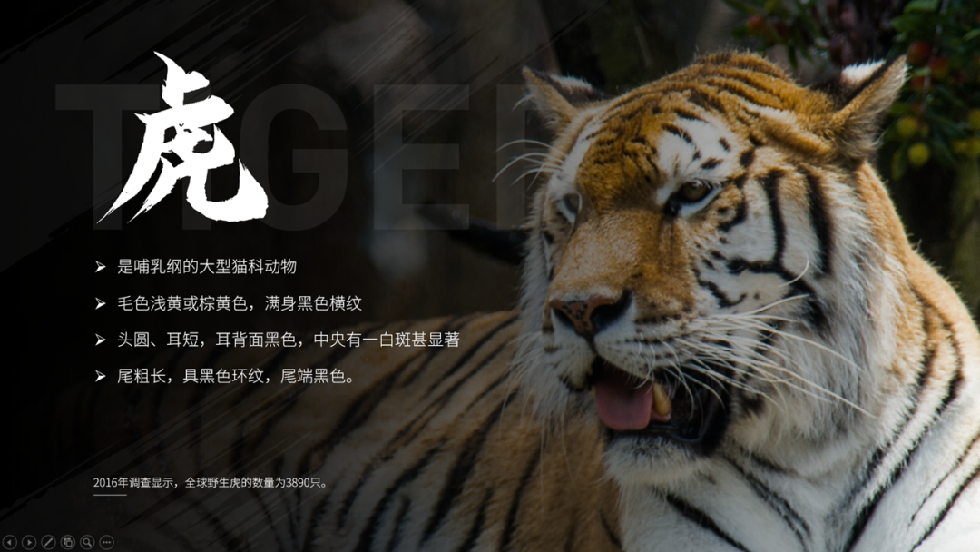 你这PPT背景，原来是这样做的啊，学到了