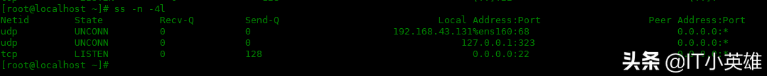 Linux 中 ss 命令的使用實例