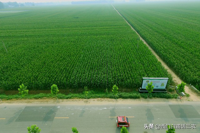 农民在永久性基本农田里挖鱼塘栽果树违法，看看你家耕地是不是？