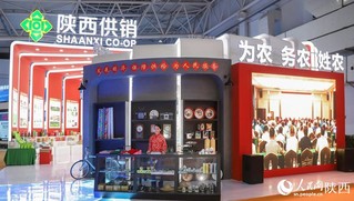 人民网聚焦农高会 | 第28届杨凌农高会开幕 聚焦创新驱动和乡村振兴