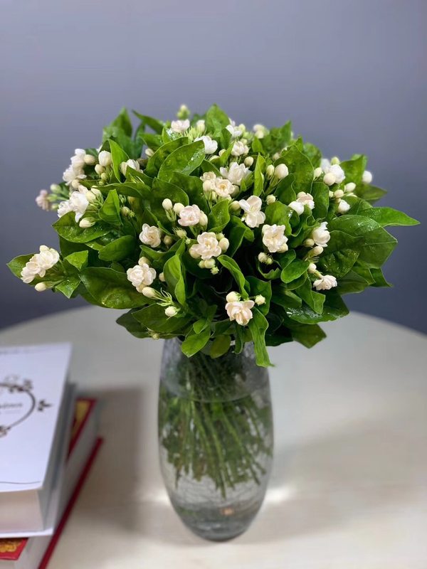 送棉花花束什么意思（32种鲜切花对应的花语）