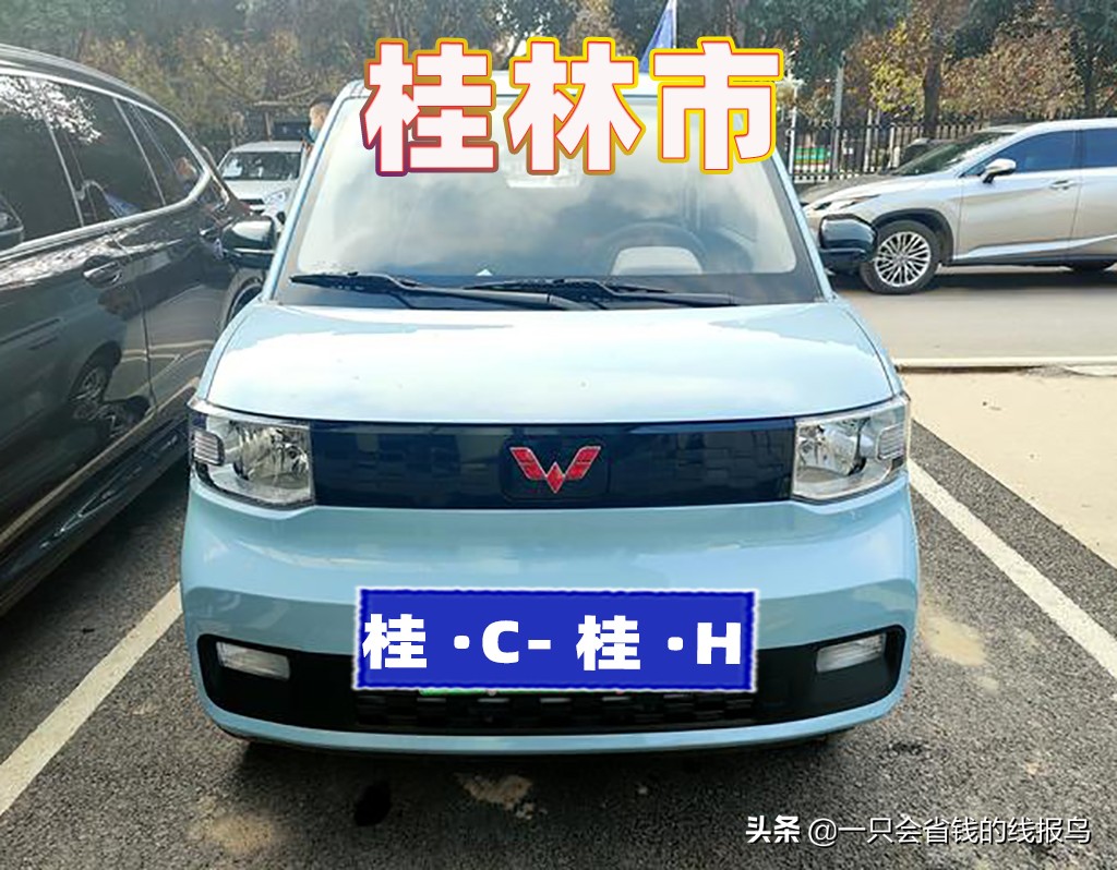 å¹¿è¥¿å£®æ—�è‡ªæ²»åŒºæ±½è½¦ç‰Œç…§å&shy;—æ¯�æ�’åº�
