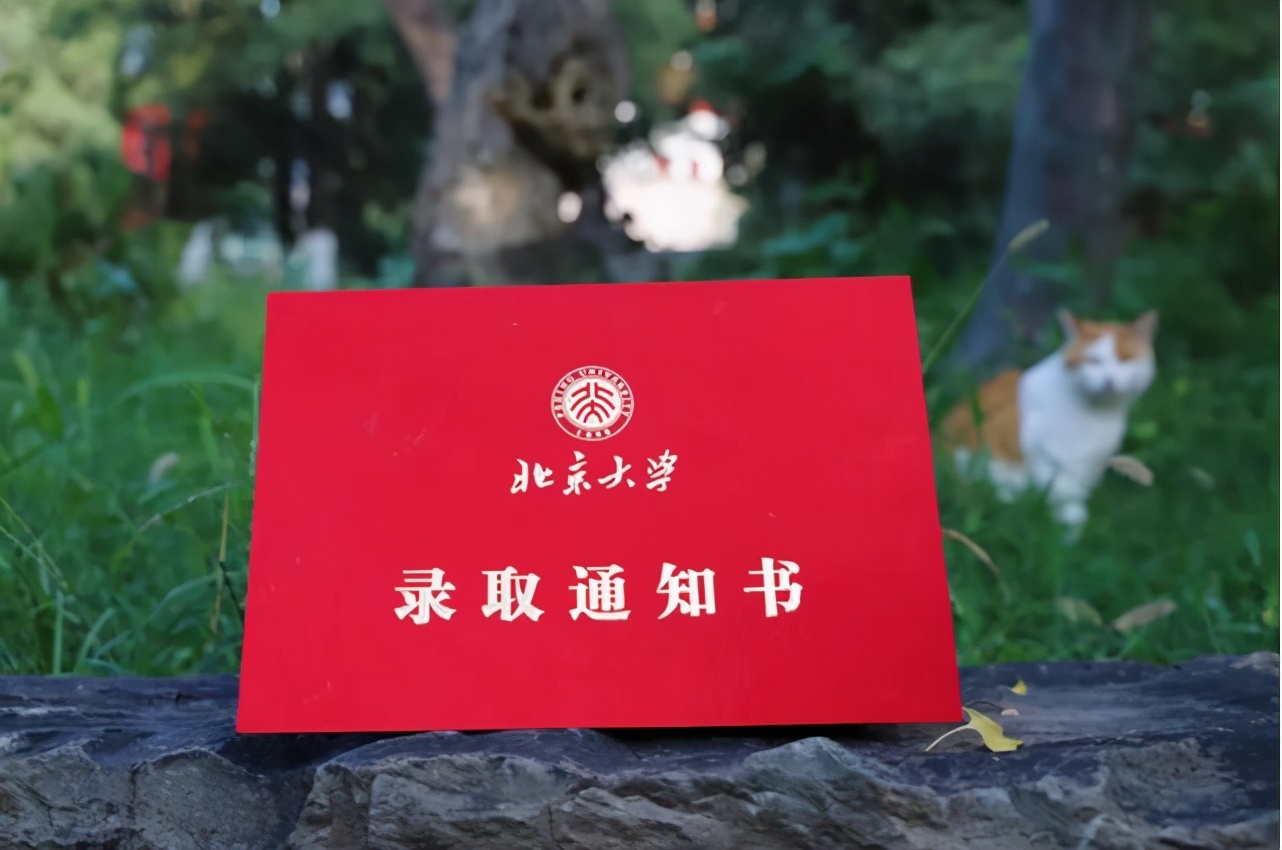 大一新生入学后要不要迁户口？提前做好了解，避免未来吃大亏