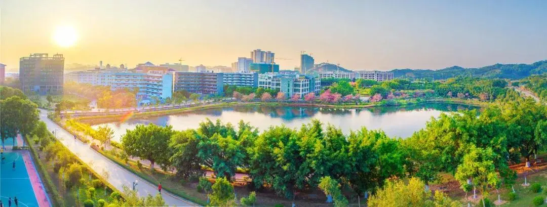 广东省华立技师学院2020年招生资讯