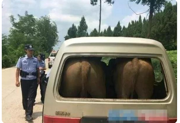 面包车拉两箱水果罚200，车主：拉人拉货都不行，还能装啥？