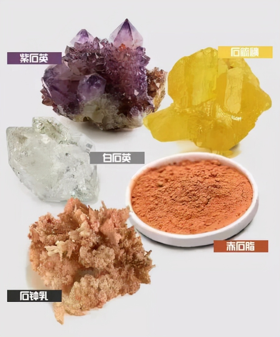 传说中的“春药”真的存在吗？