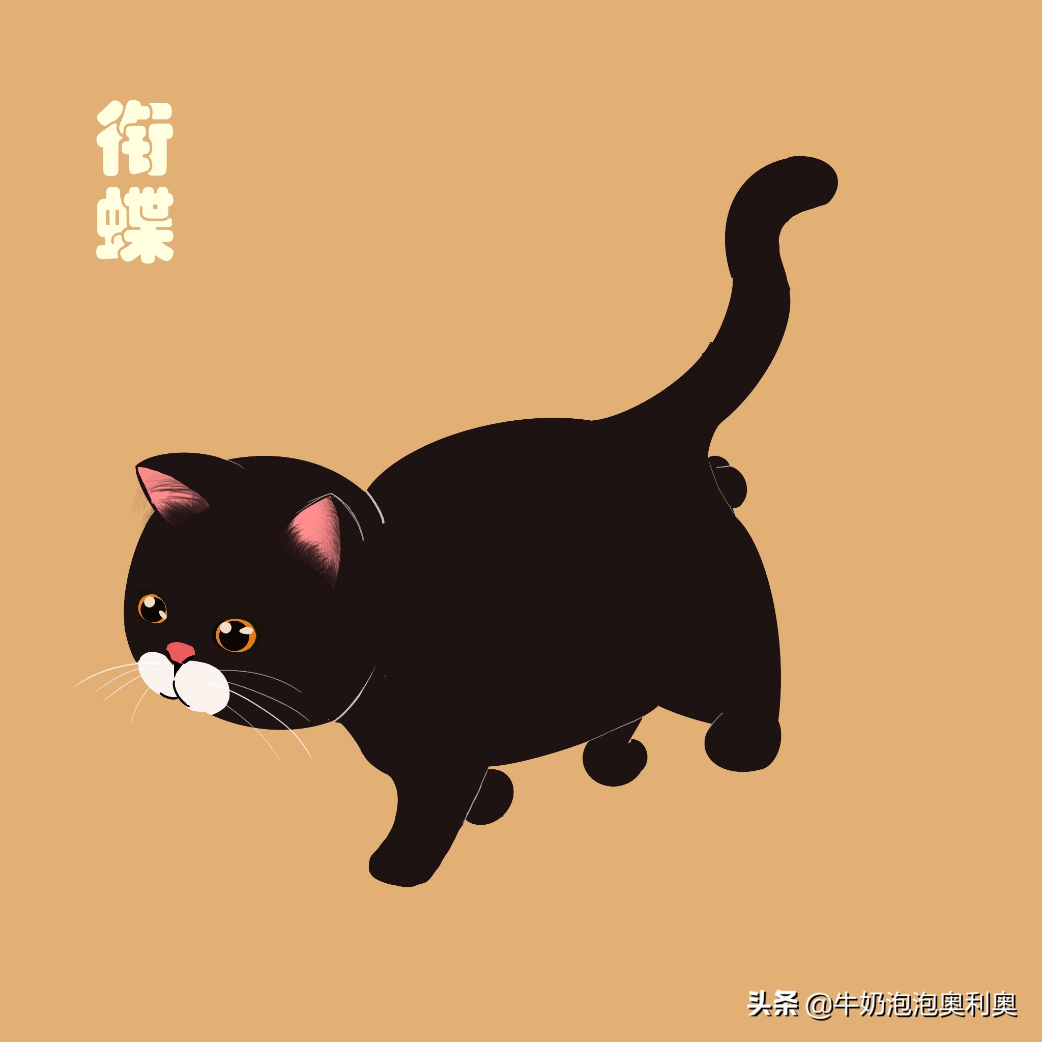 花猫图片大全(古代猫咪花色名称大全)