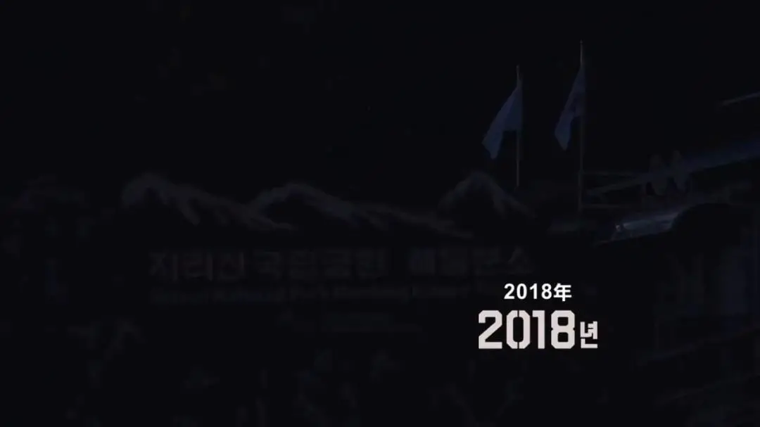 号称投资1.2亿的《智异山》,全智贤竟然翻车了