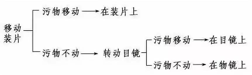 涵盖高中所有生物实验知识点