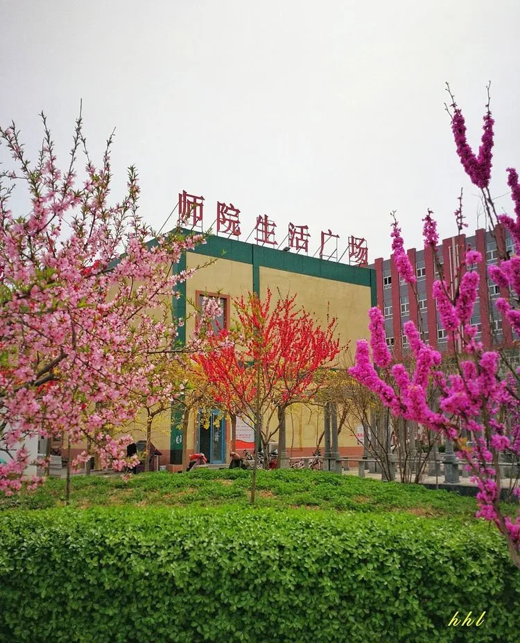 专接本院校｜沧州师范学院：招生也在缩减！慌