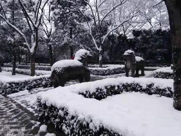 1996年，南京一名女学生神秘失踪，9天后清洁工报警才揭开了真相