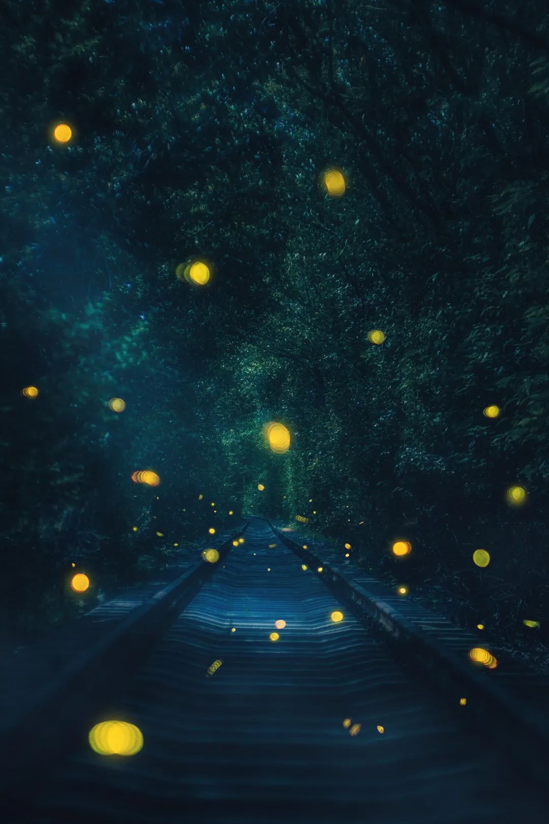 这种状态是我本人，没有跑