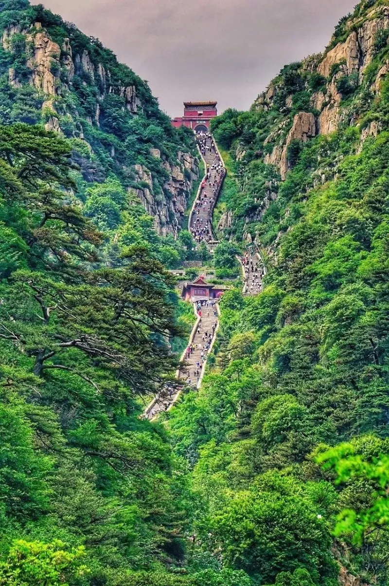 5块钱的泰山,为什么在现实中看不到?