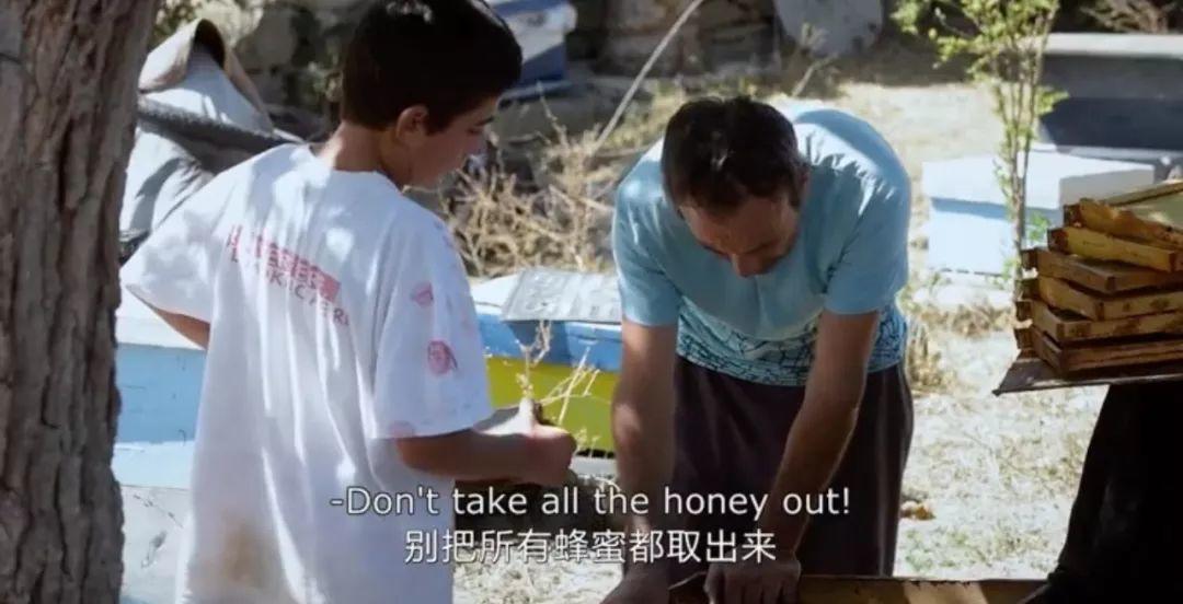 奥斯卡最佳纪录片预定，绝美自然与利欲熏心的养蜂商人