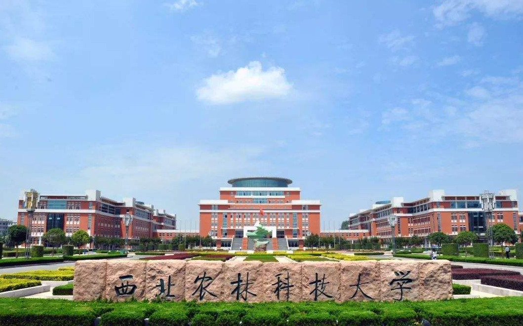 21年考生需注意，这所大学真委屈，985高校却被认为是野鸡大学