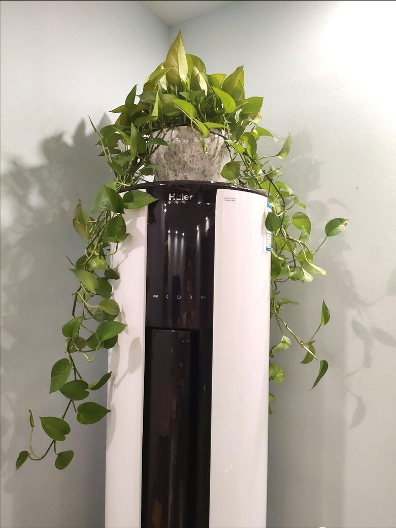 理想家居打造，你需要的6件精品，蜡笔带你双十一抄作业