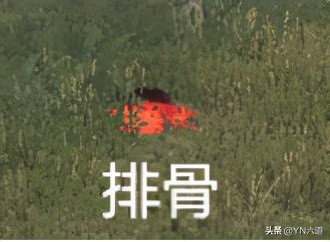 theisle恐龙岛操作教学指南 ,看了变高手