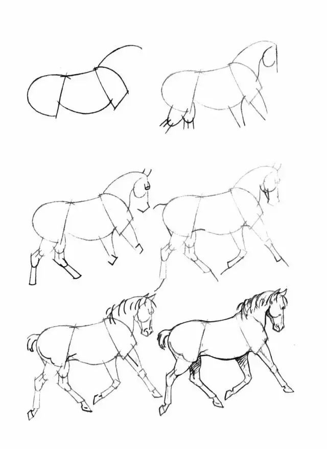 马的简笔画(简笔画教程,50个马的画法!