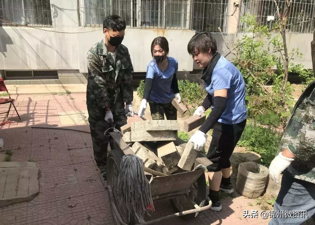 锦州实验学校三年小同学的一封信！凌河区小街小巷大变样