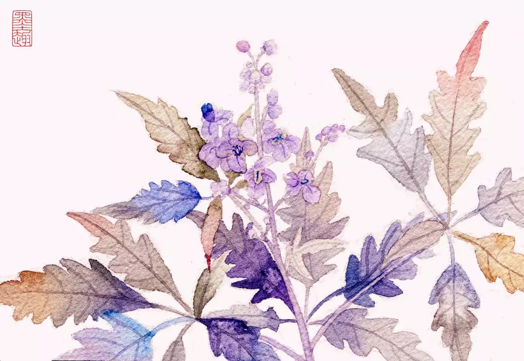 镜花水月，插画师用一支水彩笔画出一个梦想王国！