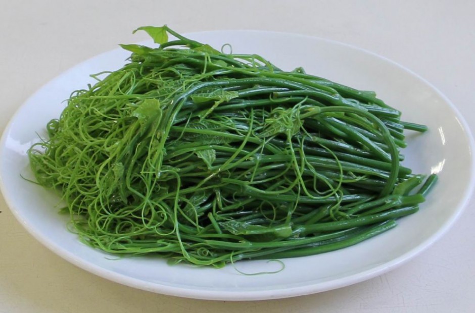 龙须菜(海菜)韭黄油菜豆瓣菜(西洋菜)紫甘蓝茴香苋菜空心菜香菜红薯叶