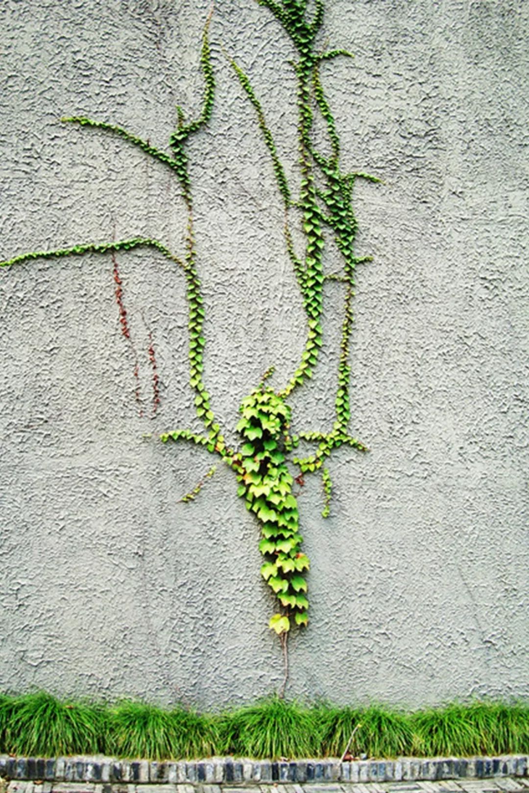 大学校园的一朵奇葩：中国美院象山校区，国内著名的网红校园